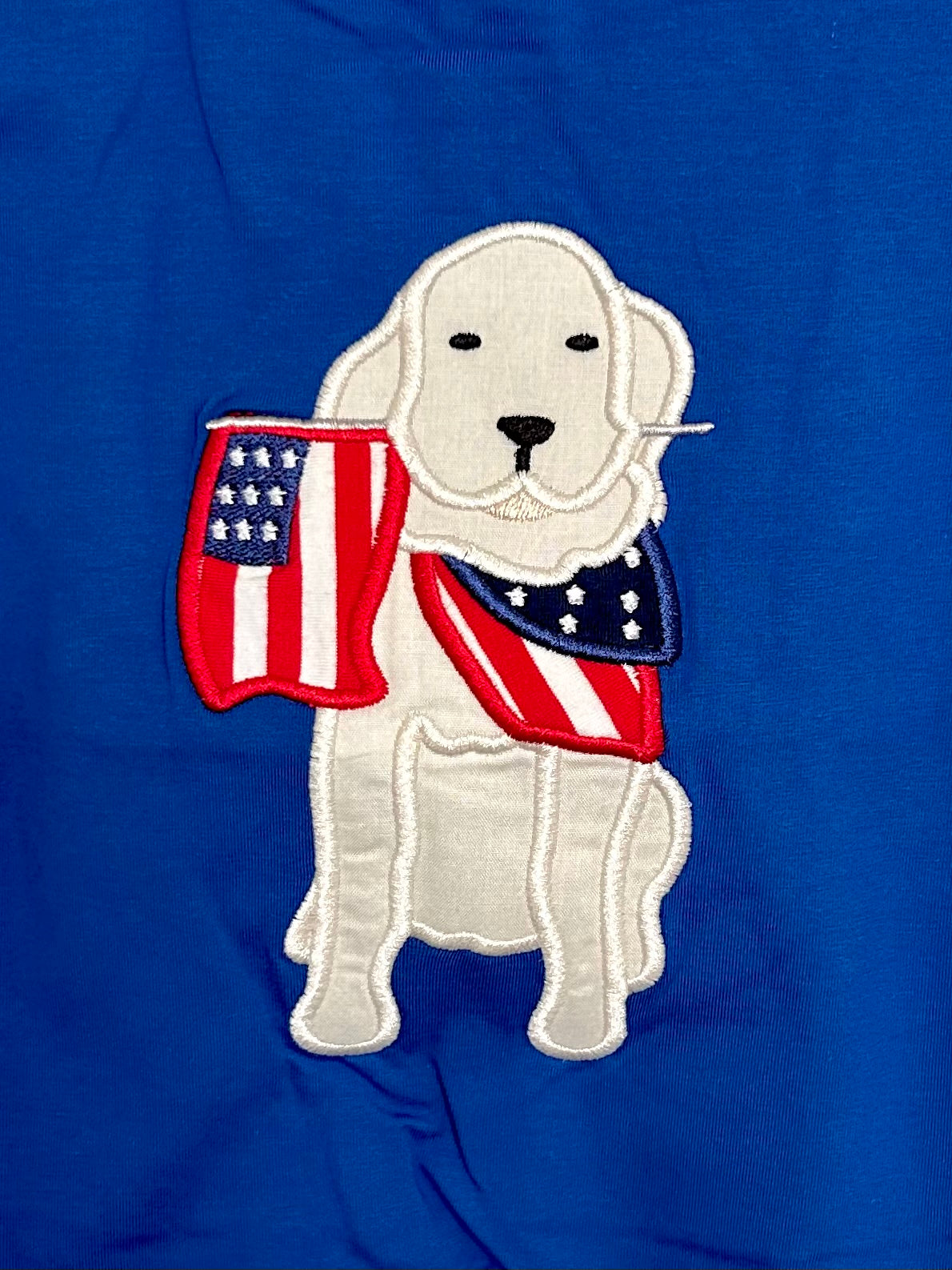Royal and Red Stripes Patriotic Pup with Freedom Flag
