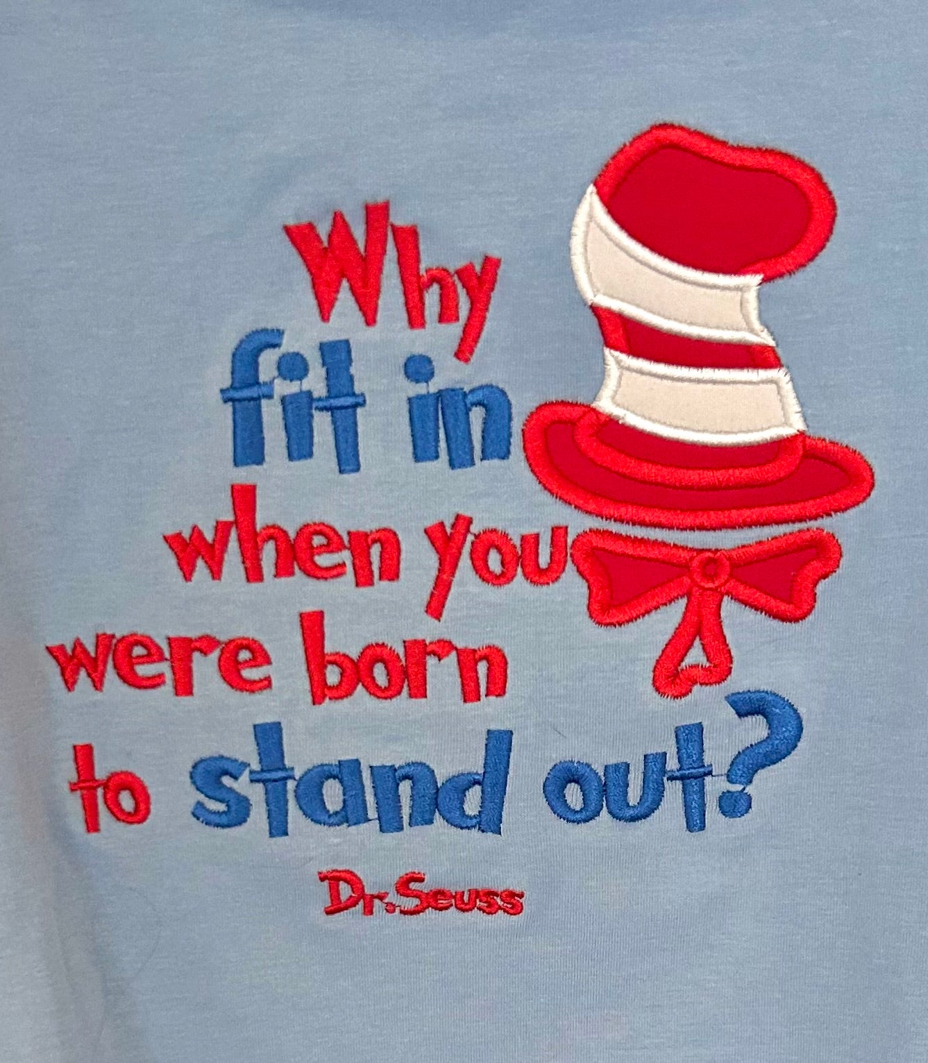 Light Blue and Red Striped Cat’s Hat