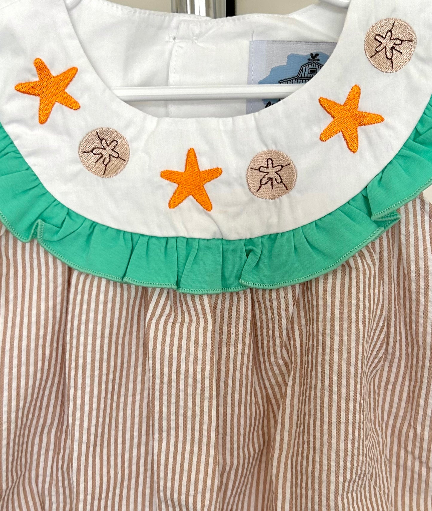 Starfish and Sand Dollars