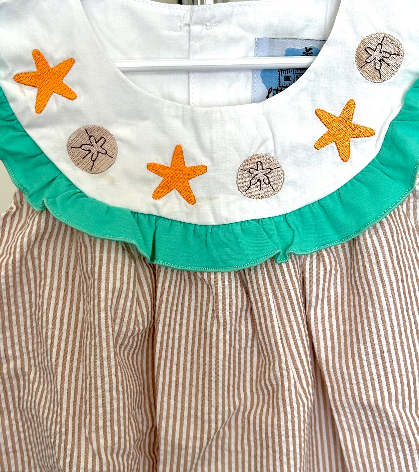 Starfish and Sand Dollars *Imperfect*